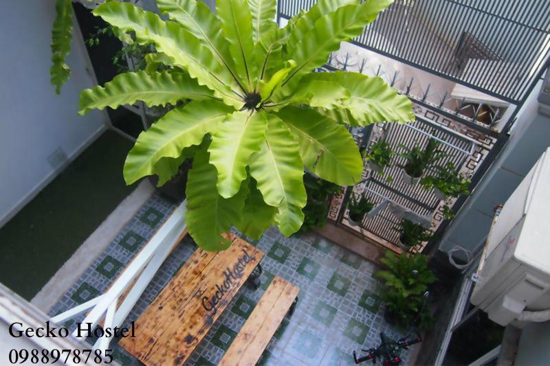 Gecko Hostel (Adults Only) Vung Tau Esterno foto